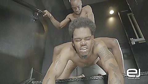 Horny Porn Clip Homo Bareback Newest